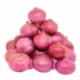ONION LOOSE